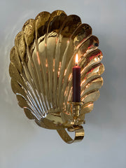 Silver plated Scallop Shell candle sconce, medium – Jane Knapp